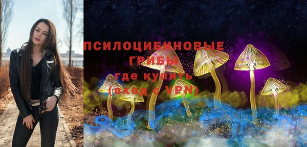 PSILOCYBIN Беломорск